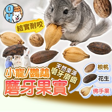 【歐豆K】小寵鸚鵡磨牙果實 倉鼠磨牙玩具 鸚鵡磨牙玩具 啃咬玩具 磨牙零食 核桃 佛手果 大花生 小寵磨牙 小寵用品