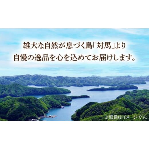 ふるさと納税 長崎県 対馬市 対馬 穴子 セット 500g《対馬市》国産 九州 長崎 煮穴子 白焼き [WAD022]