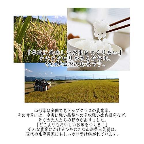  米 10kg (5kgx2袋) 米屋仕立て 山形県産 白米 国内産100％ 黄金比ブレンディングシリーズ