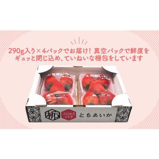 ふるさと納税 栃木県 さくら市 とちあいか 290g×4パック※2023年11月上旬頃より順次発送予定