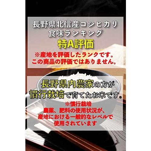 野沢農産生産組合 精米 令和元年産 特A産地 長野県北信州産コシヒカリ 5kg