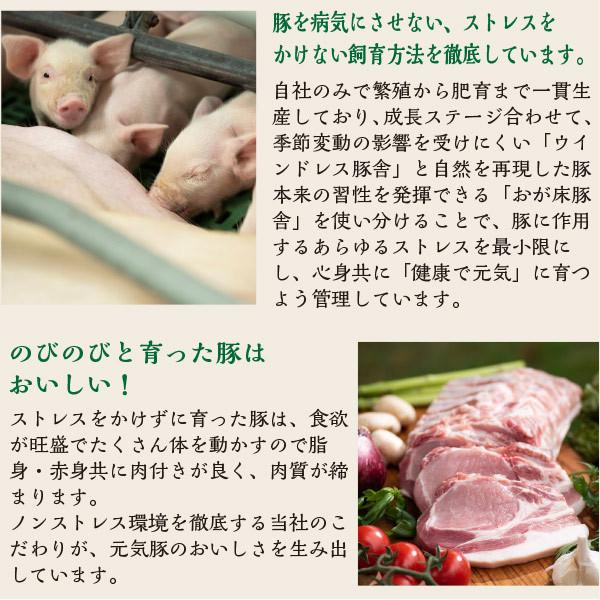 週末のお楽しみセット（一部地域を除き送料込み）