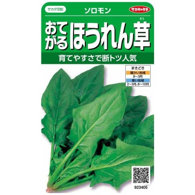 ハクサイ 晩輝 2ml【タキイ種苗】【白芯白菜の種】【野菜種子】 | LINE