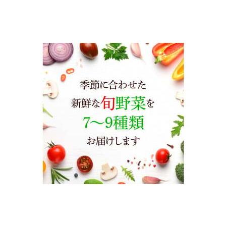 ふるさと納税 野菜セット（7‐9種類）栽培期間中農薬不使用！ 季節の野菜 旬 無農薬 野菜 やさい 新鮮 自然 健康 セット 詰め合わせ 冷蔵 美味し.. 高知県芸西村