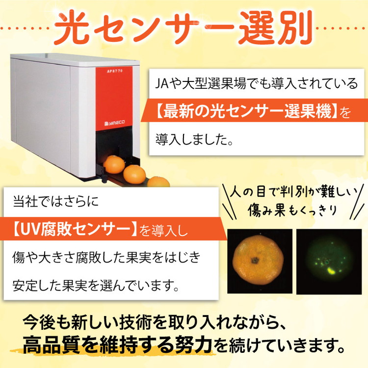 ＼光センサー選別／こだわりの完熟有田みかん 約8kg ◇有機質肥料100% ※2023年11月中旬頃～2024年1月上旬頃に順次発送予定 ※北海道・沖縄・離島への配送不可