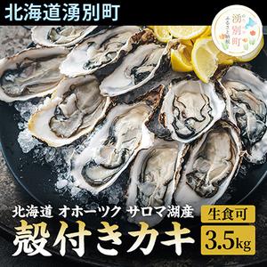 ふるさと納税 北海道 オホーツク サロマ湖産 殻付きカキ 生食可 3.5kg 牡蠣職人厳選 北海道湧別町