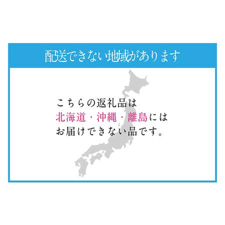 ふるさと納税 ぶどう 2024年 先行予約 9月・10月発送 シャイン マスカット 晴王 2房（合計約1kg） ブドウ 葡萄  岡山県産 国産 フルーツ 果物 .. 岡山県瀬戸内市