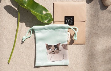 兩隻貓在藍色的小包