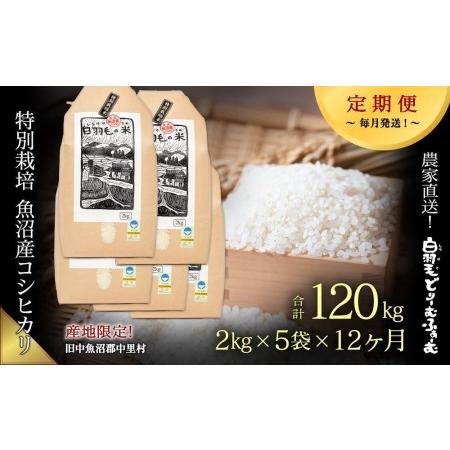 ふるさと納税 ≪令和5年産≫農家直送！魚沼産コシヒカリ特別栽培「白羽毛の米」精米(2kg×5袋)×12回 .. 新潟県十日町市