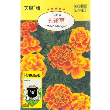 花田綠地種子-孔雀草