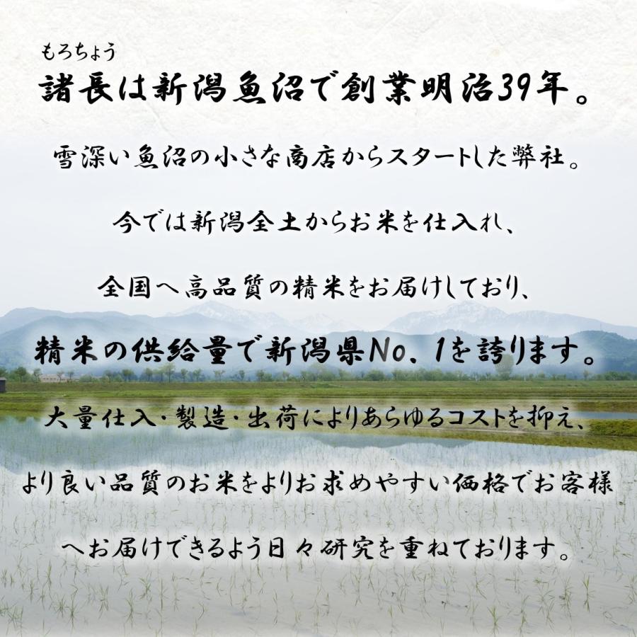 新米 米 お米 10kg こしいぶき 岩船産 5kg×2袋 本州送料無料 令和5年産