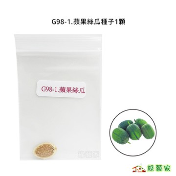 G98-1.蘋果絲瓜種子1顆 // 生育強建，節成性強。短筒型，品質極佳，果長18公分左右果菜類種子【綠藝家】