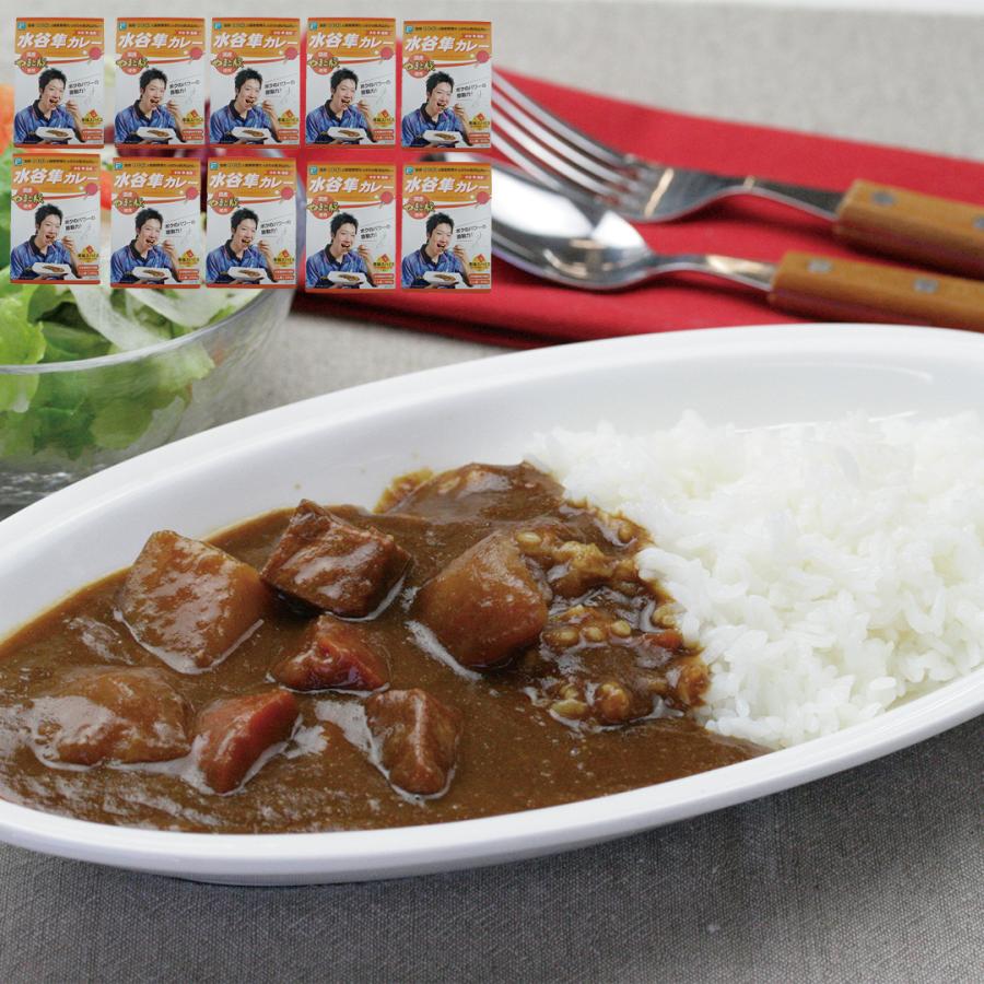 水谷隼監修 水谷隼カレー 200g×10個 