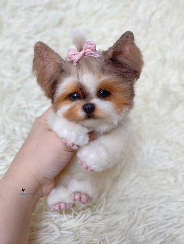 约克小狗现实玩具