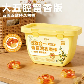 本土出貨🍯五月花清風洗衣凝珠五合一持久留香速溶桂花香洗衣液去污強效