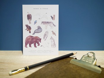 芬蘭 動物 明信片