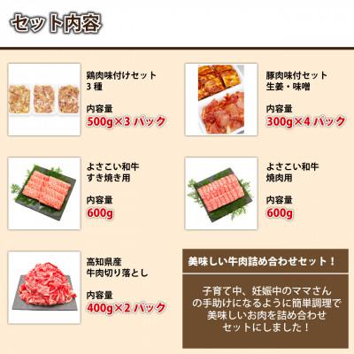 ふるさと納税 高知市 簡単調理!お肉の詰め合わせセット(計　約4.7kg)