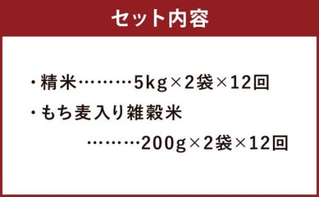 熊本県菊池産 ヒノヒカリ 精米 計120kg(10kg×12) もち麦入り雑穀米 計4.8kg(400g×12) 米 お米 低温保管 残留農薬ゼロ