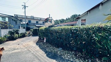 佛光山平房建地 適合休閒養生的您來擁有｜高雄市大樹區田寮段