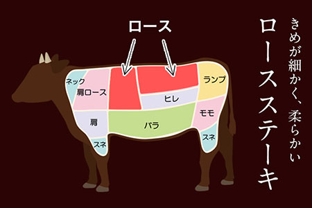 あか牛（褐毛和種）ロースステーキ (リブまたはサーロイン) 250g×2 500g 熊本県産 肉 和牛 牛肉 赤牛 あかうし リブロース サーロイン 冷凍《60日以内に順次出荷(土日祝除く)》