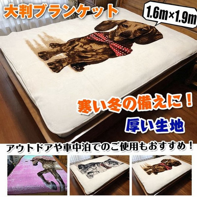 毛布 大判サイズ ひざ掛け ブランケット おしゃれ こたつ布団 長方形 節電 保温 新生活 Zk099 通販 Lineポイント最大0 5 Get Lineショッピング