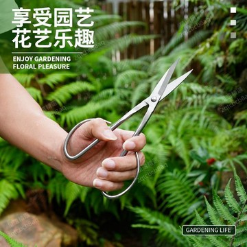 免運費⭐全不鏽鋼園藝剪葉芽剪嫩芽剪刀插花盆景枝葉剪修枝小枝剪樹枝葉子