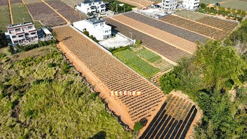 金秸工廠|旺旺來山|中正大學旁休閒農地｜嘉義縣民雄鄉陳厝寮