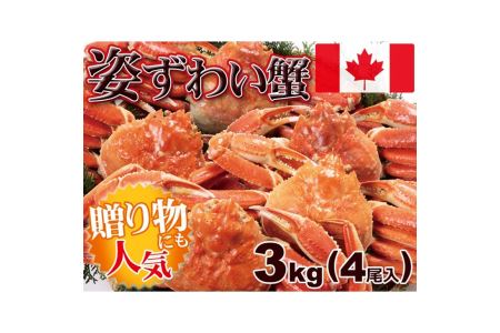 特大ボイルズワイ蟹姿　4尾（計3ｋｇ） ※着日指定不可◇