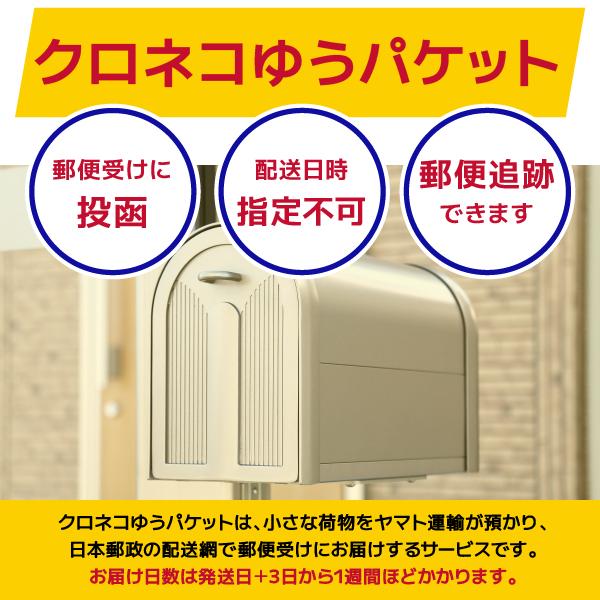 新米 ササニシキ 宮城県産 米 試し2合 お米 300g 令和5年産 宮城県産 白米 送料無料 精白米 クロネコゆうパケット