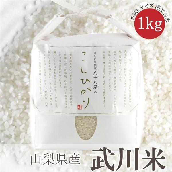  令和４年度 コシヒカリ こしひかり 白米 精米 1kg お試しサイズ 南アルプス 北杜市 梨北米 武川米 ご飯 ライス