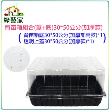 【綠藝家】育苗箱組合(蓋+底)33*50公分(加厚款)