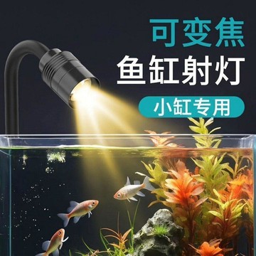 百貨研究所⚡️USB調焦三色變光定時射燈南美魚缸造景水草燈魚缸燈魚小型迷你🎉