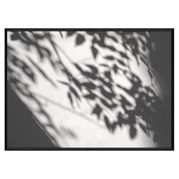 植光掠影  70 x 50cm  黑色