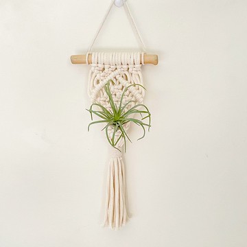 Macrame 植物 乾燥  小掛籃掛飾