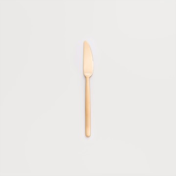 歐式 簡約潮流 22.8cm 不銹鋼主餐刀│霧金│單品