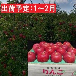 ふるさと納税 1〜2月発送 最高等級「特選」大玉 葉とらず サンふじ 約5kg・糖度14度以上  青森県弘前市