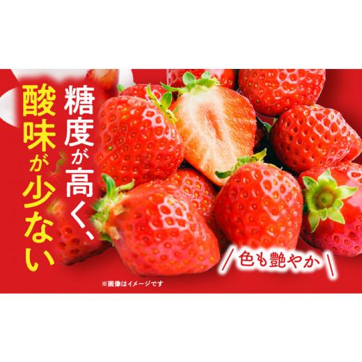 ふるさと納税 宮崎県 宮崎市 宮崎県産イチゴ「幸せの紅白いちごセット」3パック（1080g以上：36…