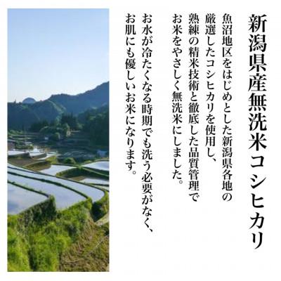 ふるさと納税 新潟県 新潟県産コシヒカリ 無洗米 そのまんま真空パック 900g×12袋セット