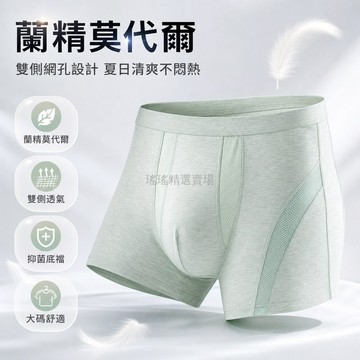 台灣出貨✨ 莫代爾 大碼男內褲 透氣網孔 抑菌底檔 舒適不夾臀 四角褲 夏季