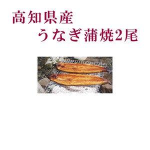 高知県産 うなぎ蒲焼 2尾／四万十 高知 冷凍 国産 無添加 ウナギ 鰻