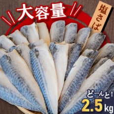 訳あり 塩さばフィレ 2.5kg(26枚前後入り) 無添加 冷凍便にてお届け!おかずにぴったり!