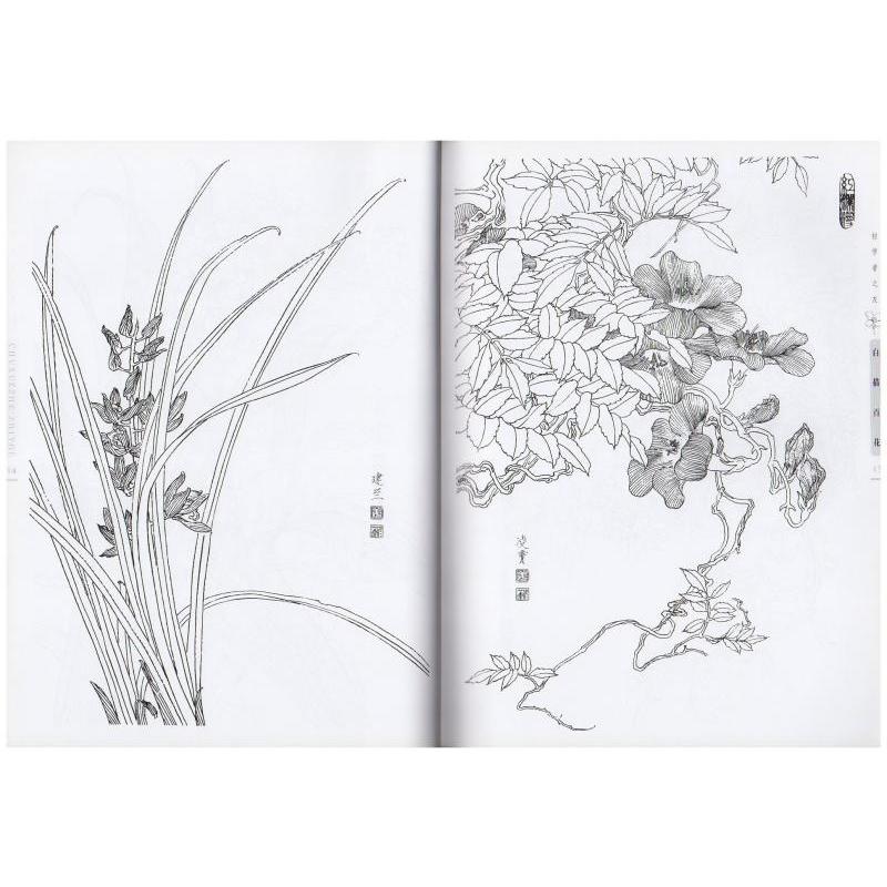 白描百花　初心者の友　中国画技法　中国絵画 白描百花　初学者之友