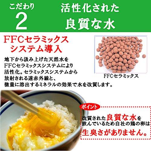 櫛田養鶏場のおいしい白卵餌にこだわった超新鮮たまごを養鶏場から直送！