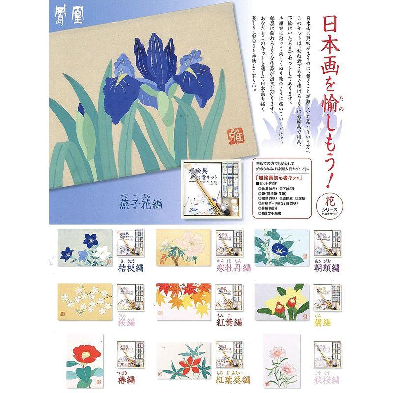 ナカガワ胡粉 日本画用絵具 鳳凰 岩絵具 初心者キット 桜編