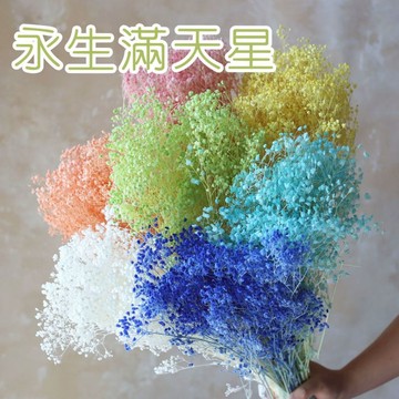 [🌹DIY🌸絕美花材🌹]永生滿天星 滿天星 不凋滿天星 乾燥花 永生花 DIY手作 小花束 花束 拍攝道具 佈置
