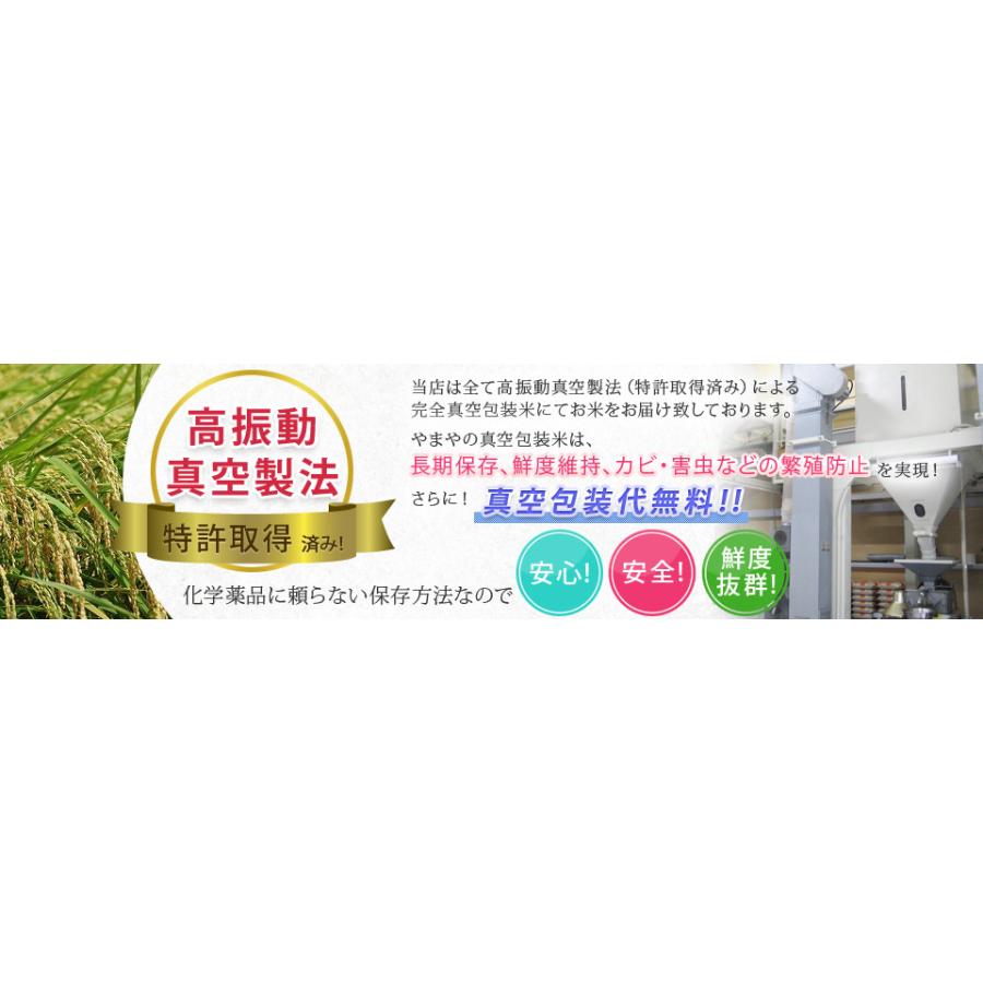 新米 令和5年産 米 5kg お米 玄米 真空パック（5kg×1袋）コシヒカリ 滋賀県産 令和5年産 精米無料 真空パック無料 送料無料