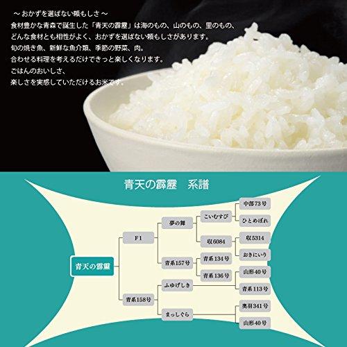 青天の霹靂　1０kg (5kg×2袋) 青森県産 白米 令和4年産