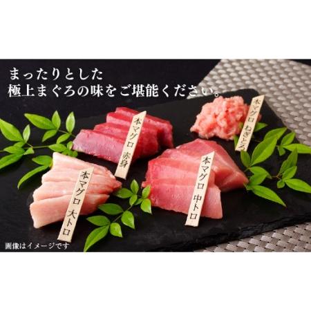 ふるさと納税 長崎県産本まぐろ(養殖)トロ(計600g) 長崎県佐世保市