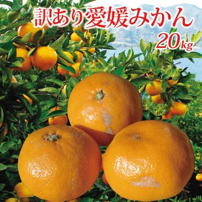 愛媛県産 訳あり 愛媛みかん ２０kg（10kg×２箱）