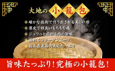 これが大地の小籠包です　計60個入り（1箱6個入り×10箱） ※着日指定不可